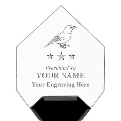 7" CREST DIAMOND ACRYLIC