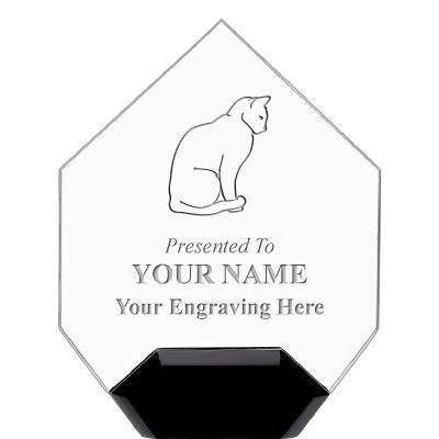 7" CREST DIAMOND ACRYLIC