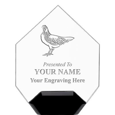 7" CREST DIAMOND ACRYLIC