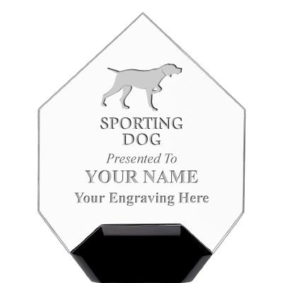 7" CREST DIAMOND ACRYLIC