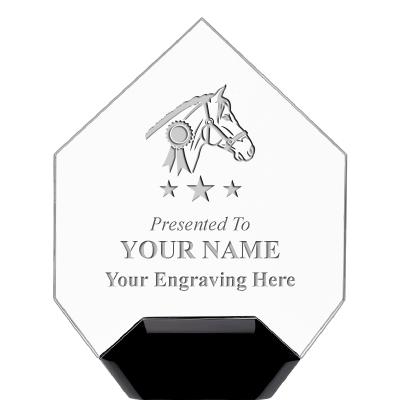 7" CREST DIAMOND ACRYLIC