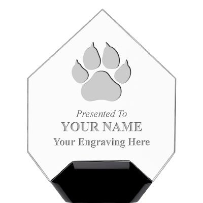 7" CREST DIAMOND ACRYLIC