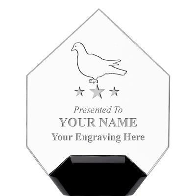 7" CREST DIAMOND ACRYLIC