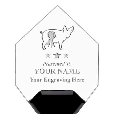 7" CREST DIAMOND ACRYLIC