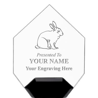 7" CREST DIAMOND ACRYLIC