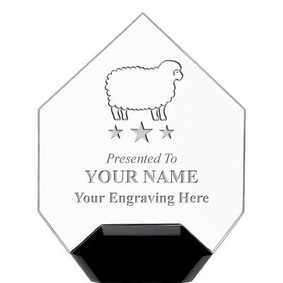 7" CREST DIAMOND ACRYLIC