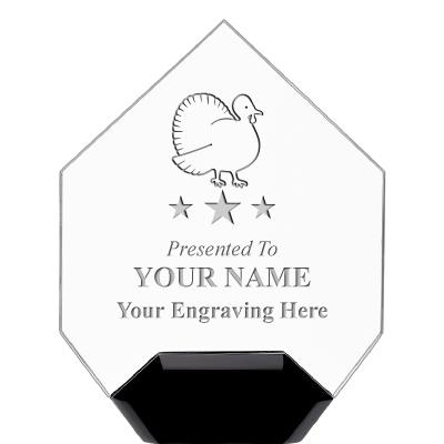 7" CREST DIAMOND ACRYLIC