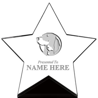 7" CREST STAR ACRYLIC