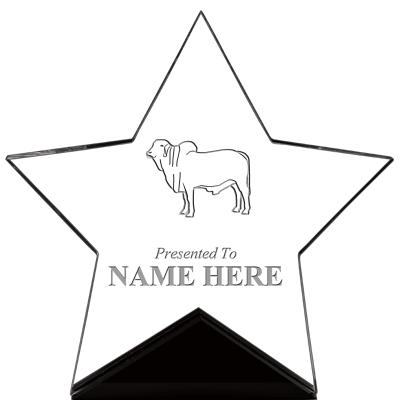 7" CREST STAR ACRYLIC