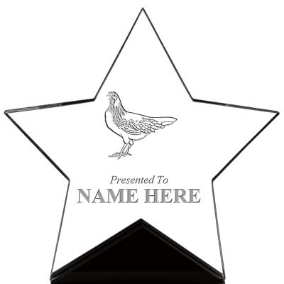 7" CREST STAR ACRYLIC