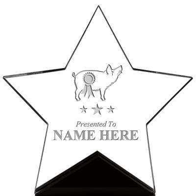 7" CREST STAR ACRYLIC