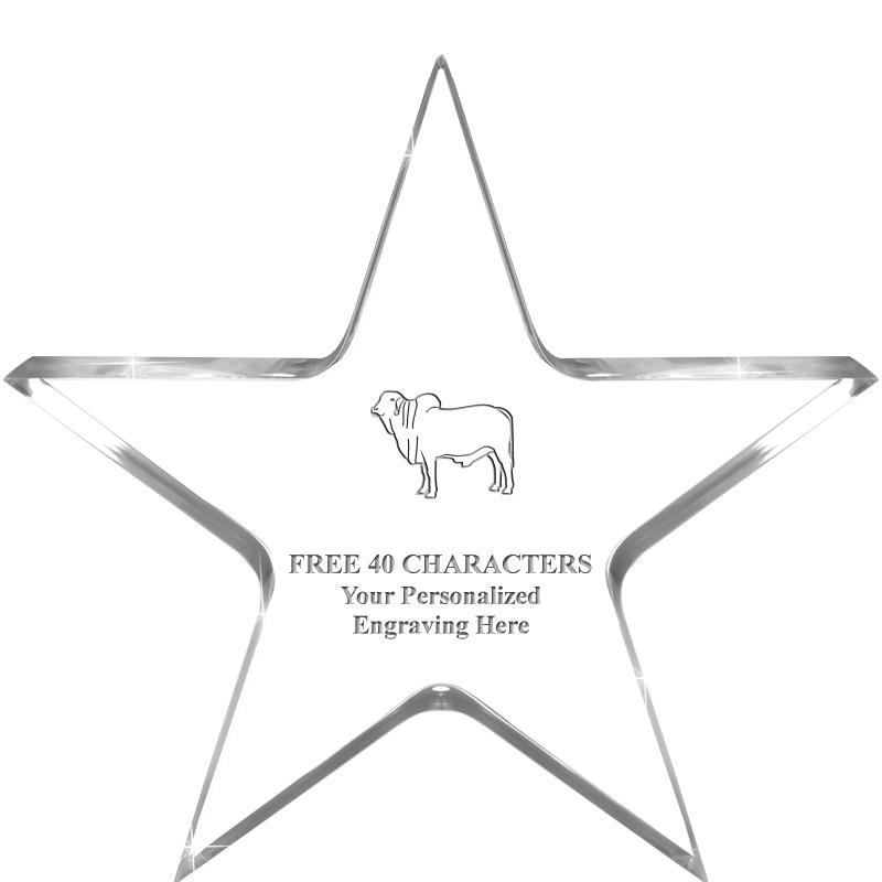 5" CLEAR STAR ACRYLIC 1" THICK