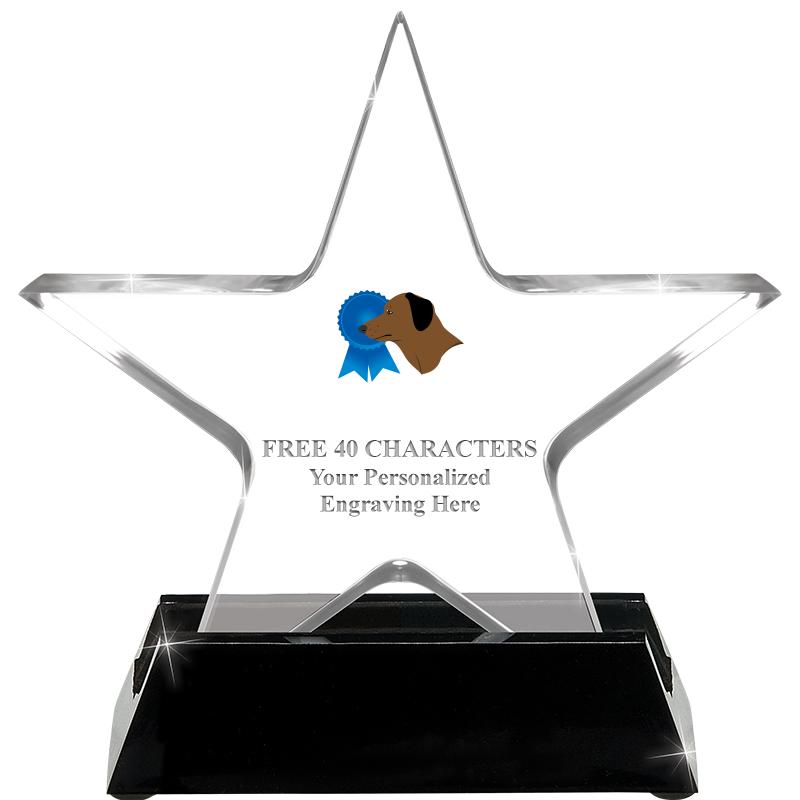 5 1/4" ACRYLIC STAR W/ STAND