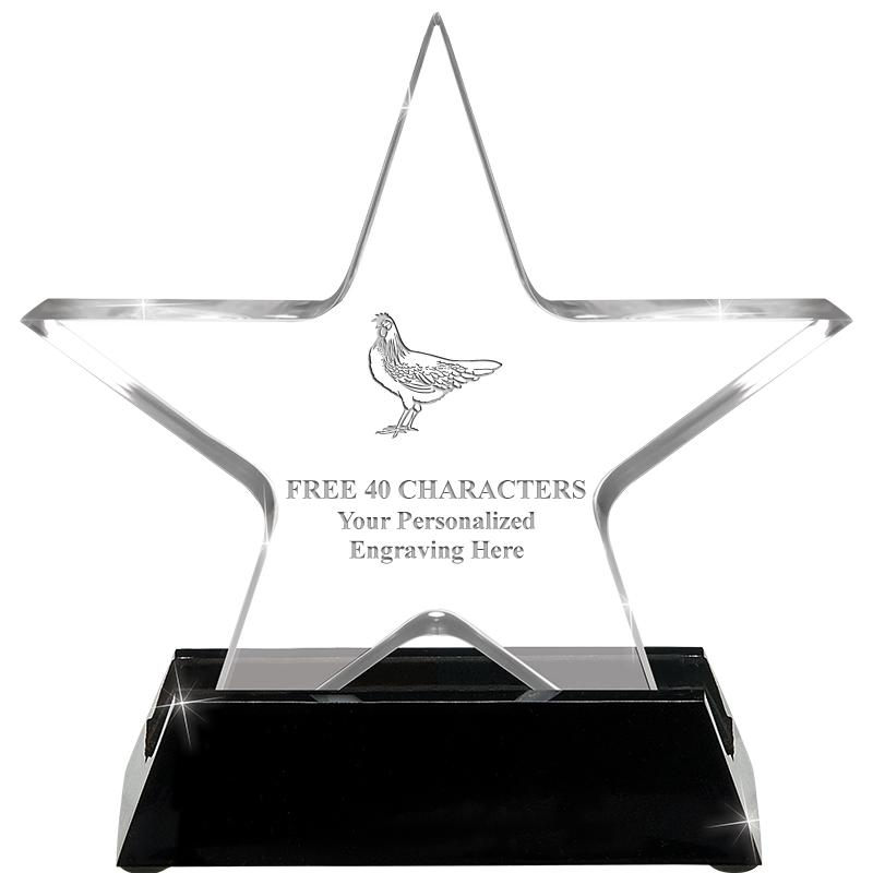 5 1/4" ACRYLIC STAR W/ STAND