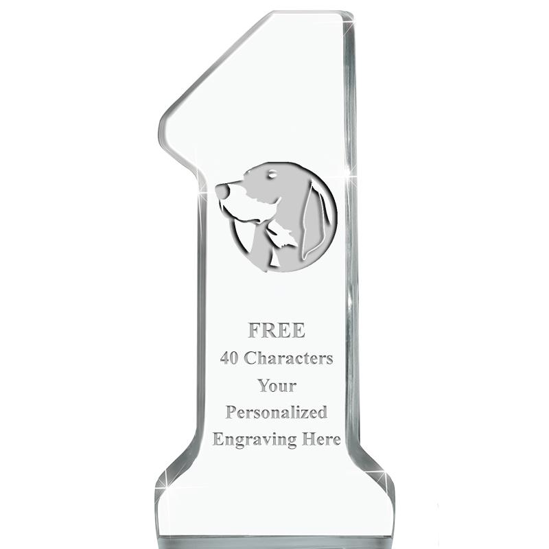 6" NUMBER ONE ACRYLIC