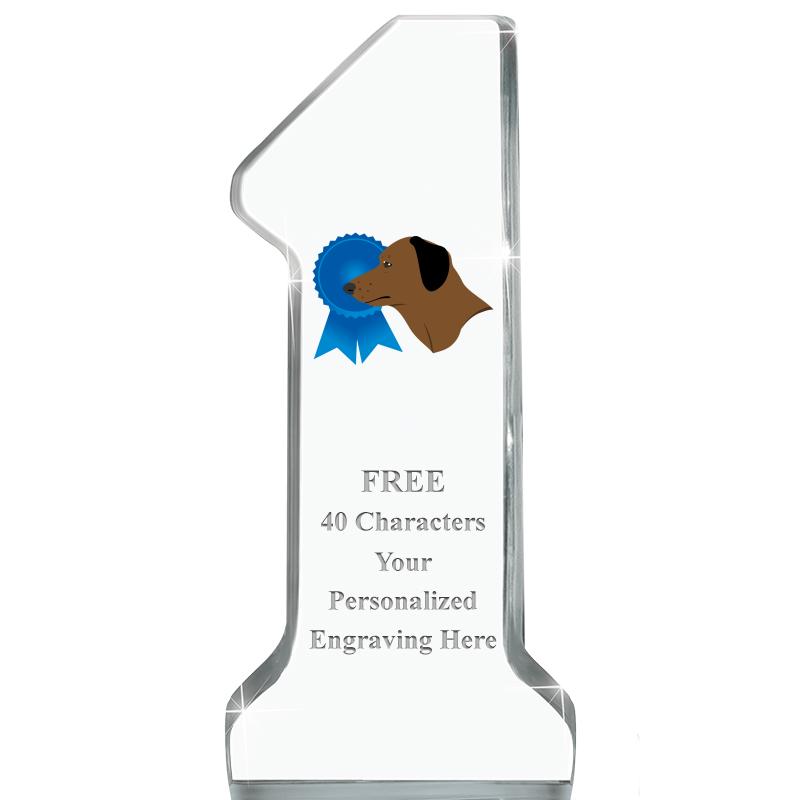 6" NUMBER ONE ACRYLIC