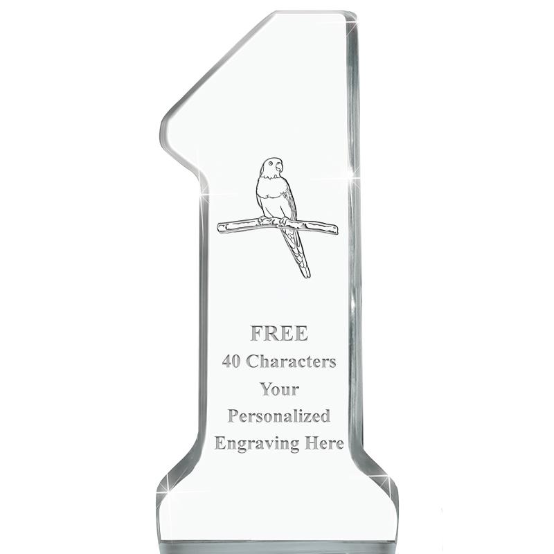 6" NUMBER ONE ACRYLIC