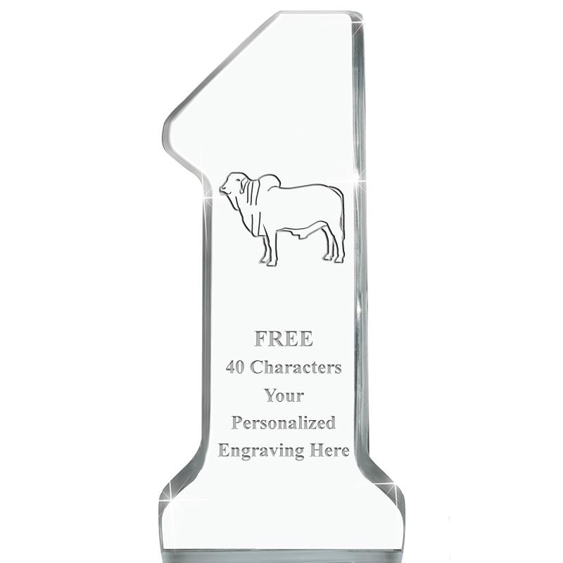 6" NUMBER ONE ACRYLIC