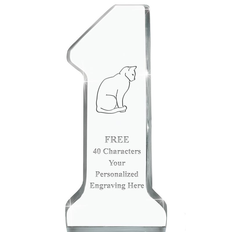 6" NUMBER ONE ACRYLIC