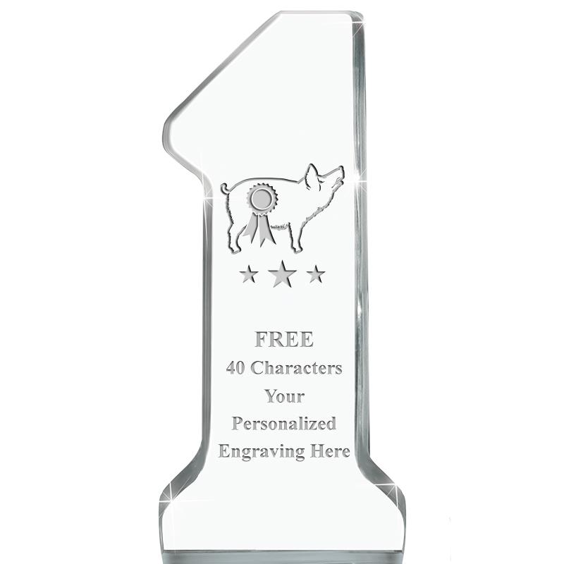 6" NUMBER ONE ACRYLIC