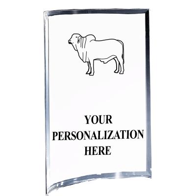 5"X7" YOUR LOGO CURVA ACRYLIC