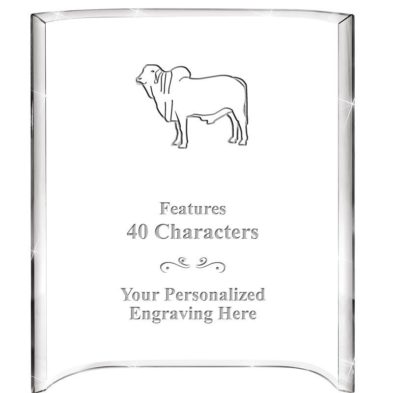 5"X 7" VERTICAL CURVA ACRYLIC