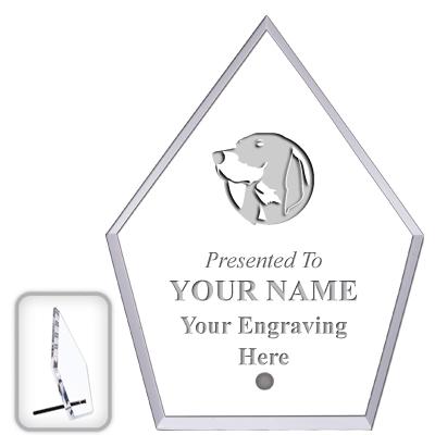 6" ECONOMY DIAMOND CLEAR ACRYL