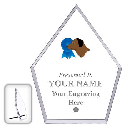 6" ECONOMY DIAMOND CLEAR ACRYL