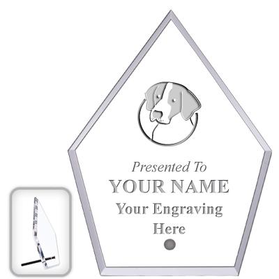 6" ECONOMY DIAMOND CLEAR ACRYL