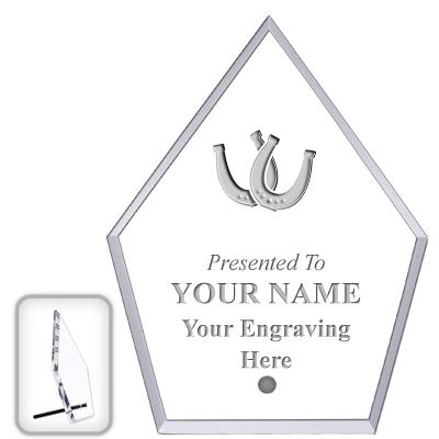 6" ECONOMY DIAMOND CLEAR ACRYL