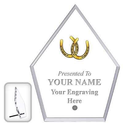 6" ECONOMY DIAMOND CLEAR ACRYL