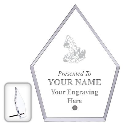 6" ECONOMY DIAMOND CLEAR ACRYL