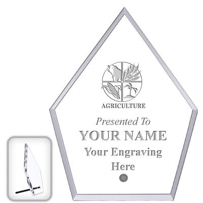 6" ECONOMY DIAMOND CLEAR ACRYL