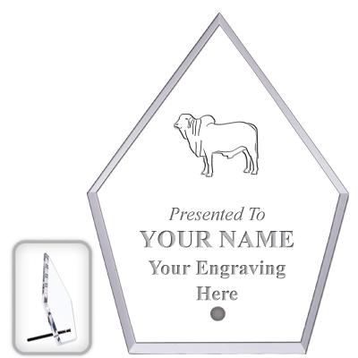 6" ECONOMY DIAMOND CLEAR ACRYL