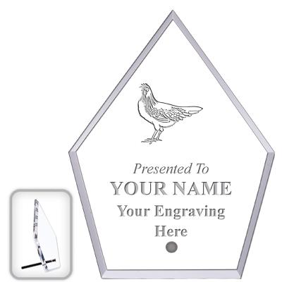 6" ECONOMY DIAMOND CLEAR ACRYL