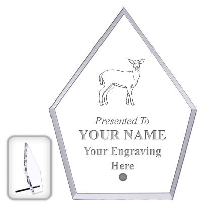 6" ECONOMY DIAMOND CLEAR ACRYL