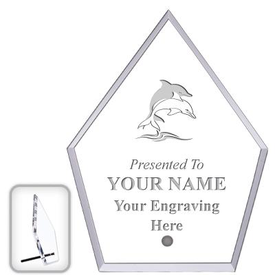 6" ECONOMY DIAMOND CLEAR ACRYL