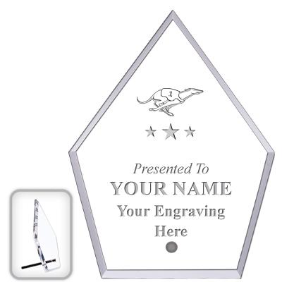 6" ECONOMY DIAMOND CLEAR ACRYL