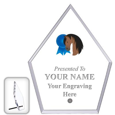 6" ECONOMY DIAMOND CLEAR ACRYL