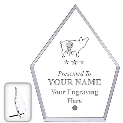 6" ECONOMY DIAMOND CLEAR ACRYL