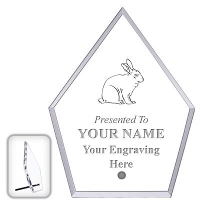 6" ECONOMY DIAMOND CLEAR ACRYL