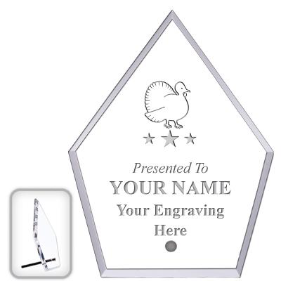 6" ECONOMY DIAMOND CLEAR ACRYL