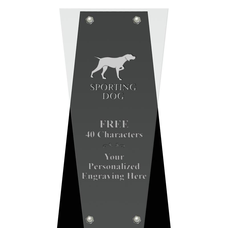 6" ALPINE FLOATING ACRY AWARD