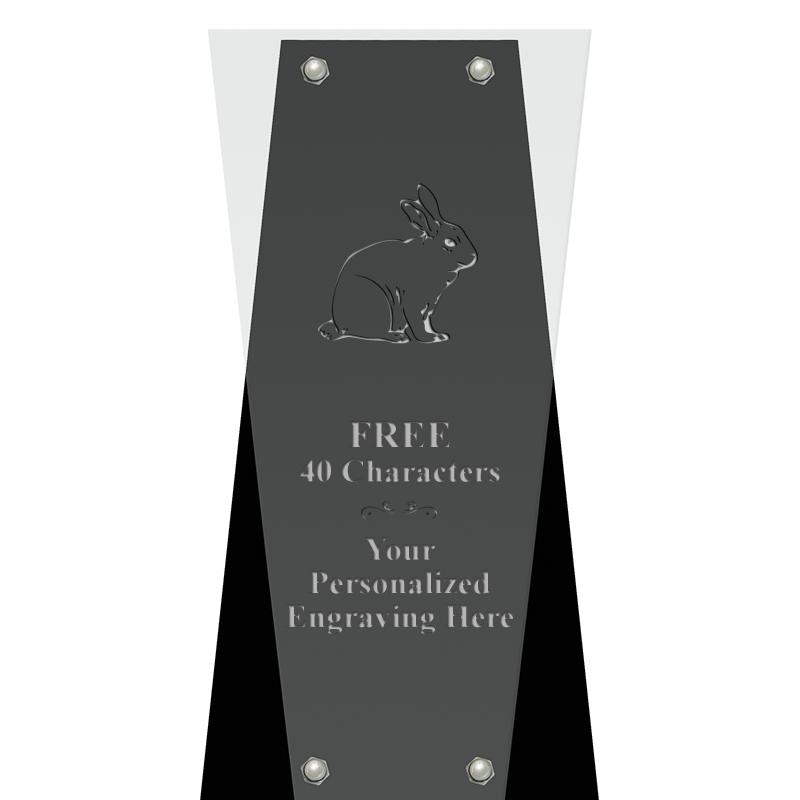 6" ALPINE FLOATING ACRY AWARD