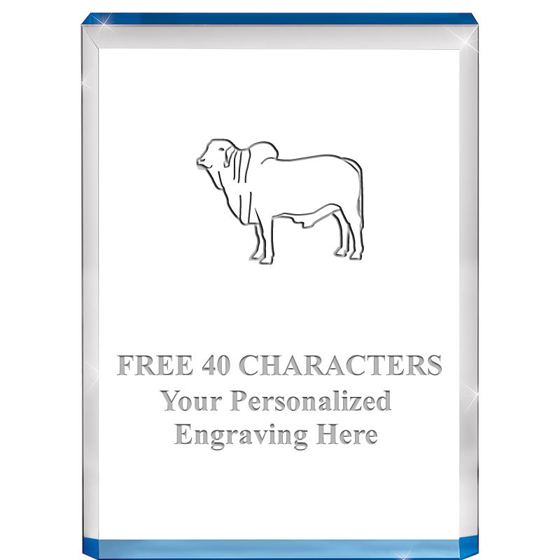 4" BLUE BILLBOARD ACRYLIC