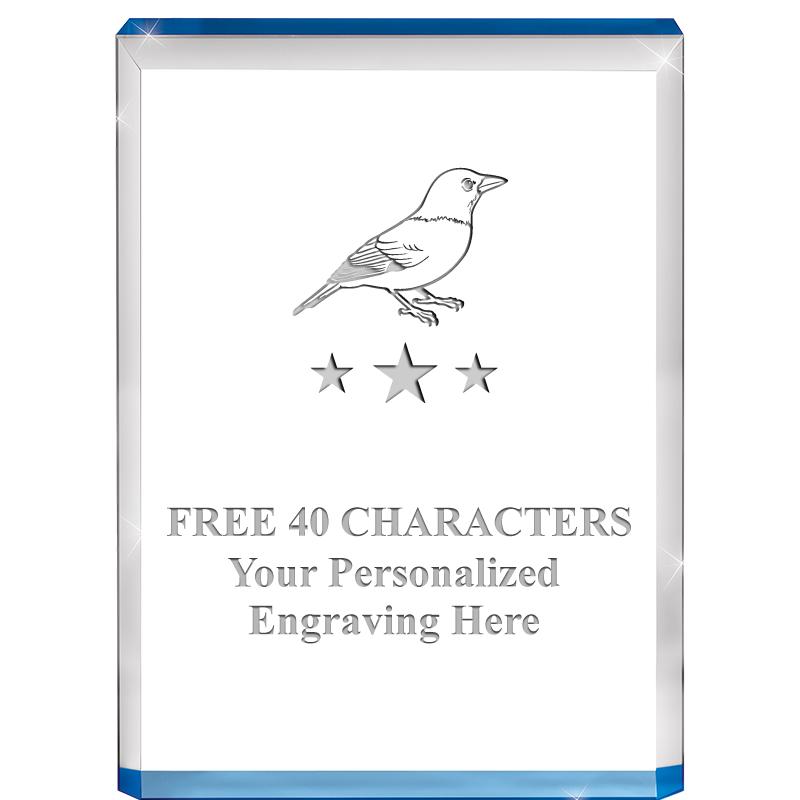 4" BLUE BILLBOARD ACRYLIC