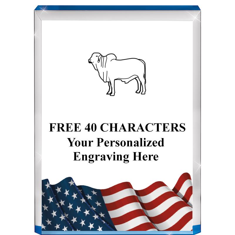 4" FLAG BLUE BILLBOARD ACRYLIC