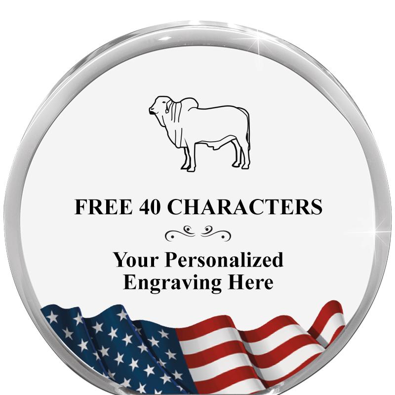 4" FLAG ORBIT ACRYLIC