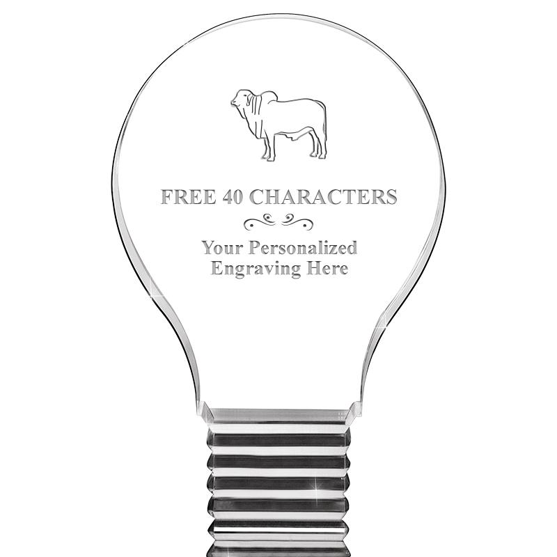 6" LIGHT BULB ACRYLIC