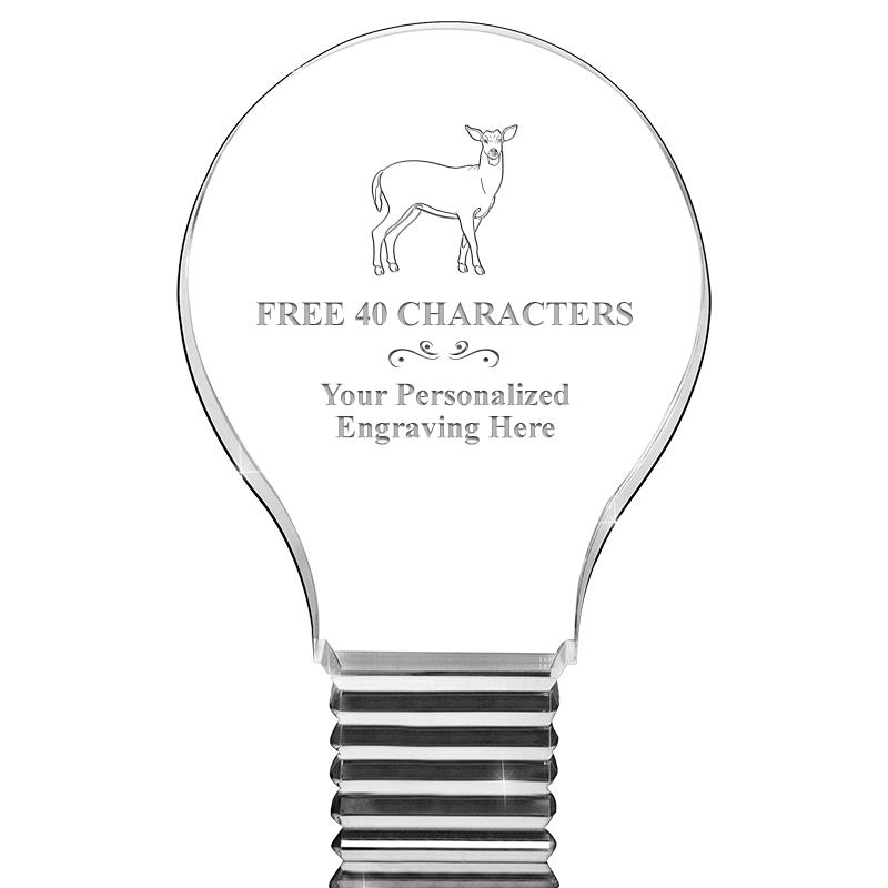 6" LIGHT BULB ACRYLIC